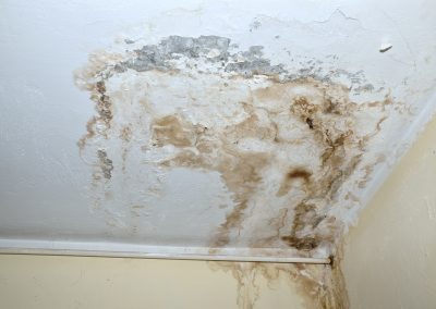 Preventing Mold Growth In Your Home