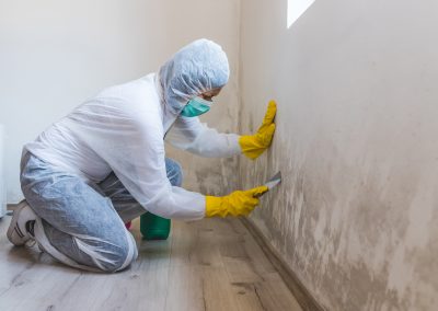 The Science Behind Professional Mold Removal Process & Techniques