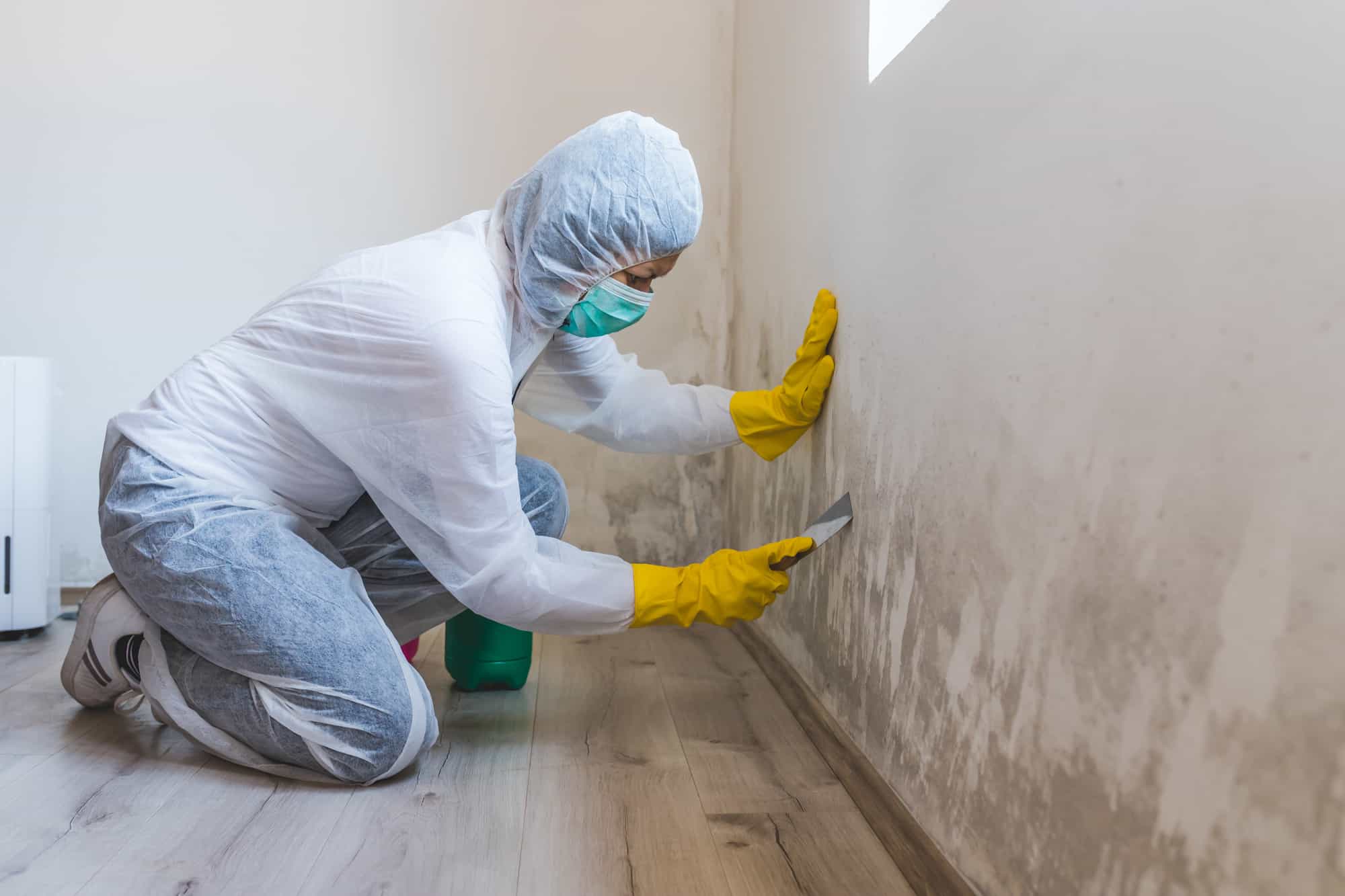 Mold Removal and Duct Cleaning Services in Memphis