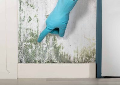 Do I Need Mold Testing? Here’s What You Should Know